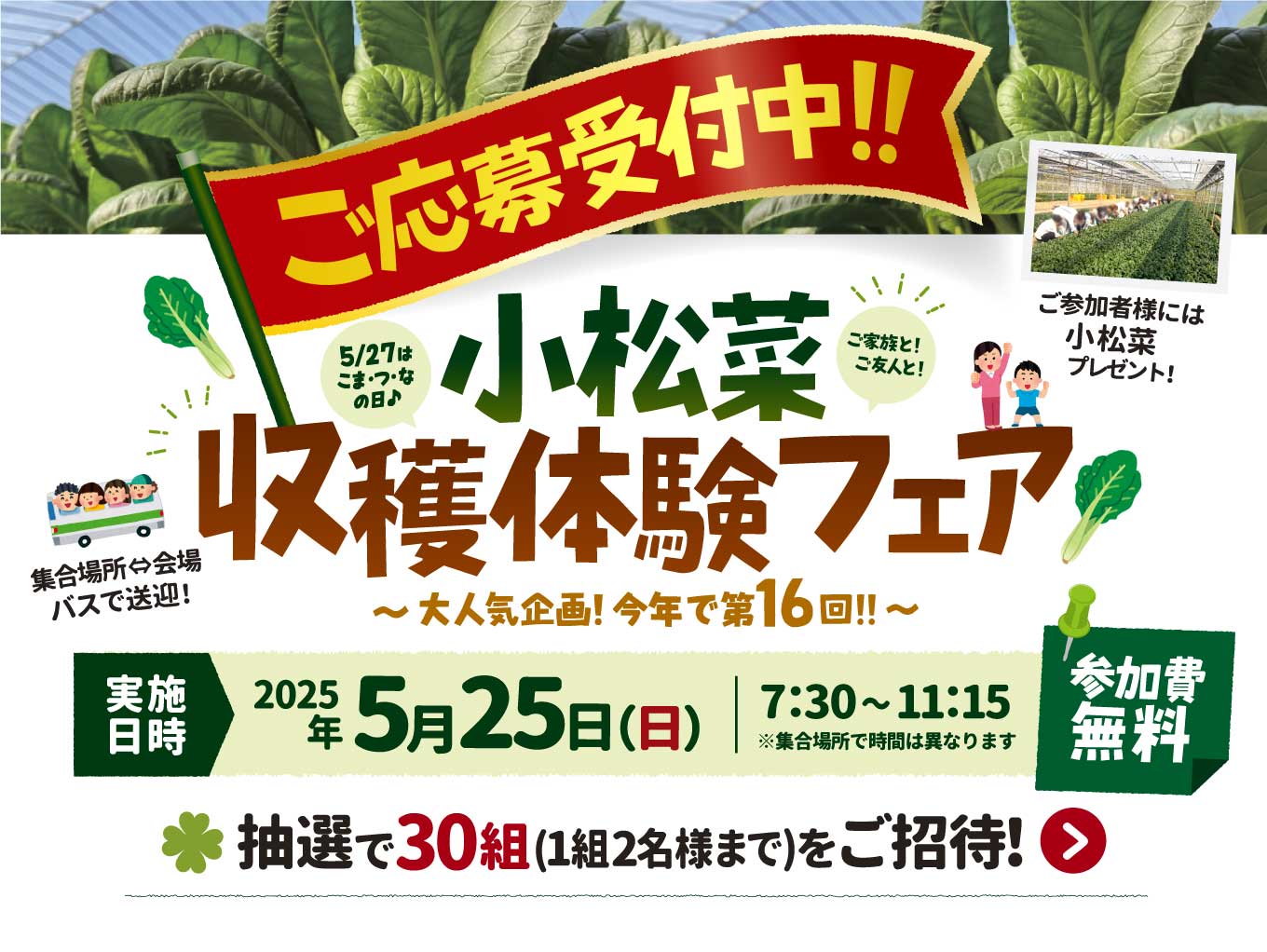 【2025年度】堺市「しものファーム」第16回小松菜収穫体験にご招待！