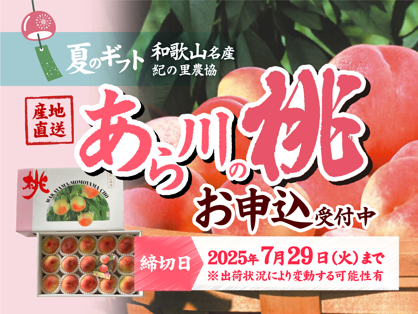 和歌山県より産地直送「あら川の桃ギフト」お申込受付中！