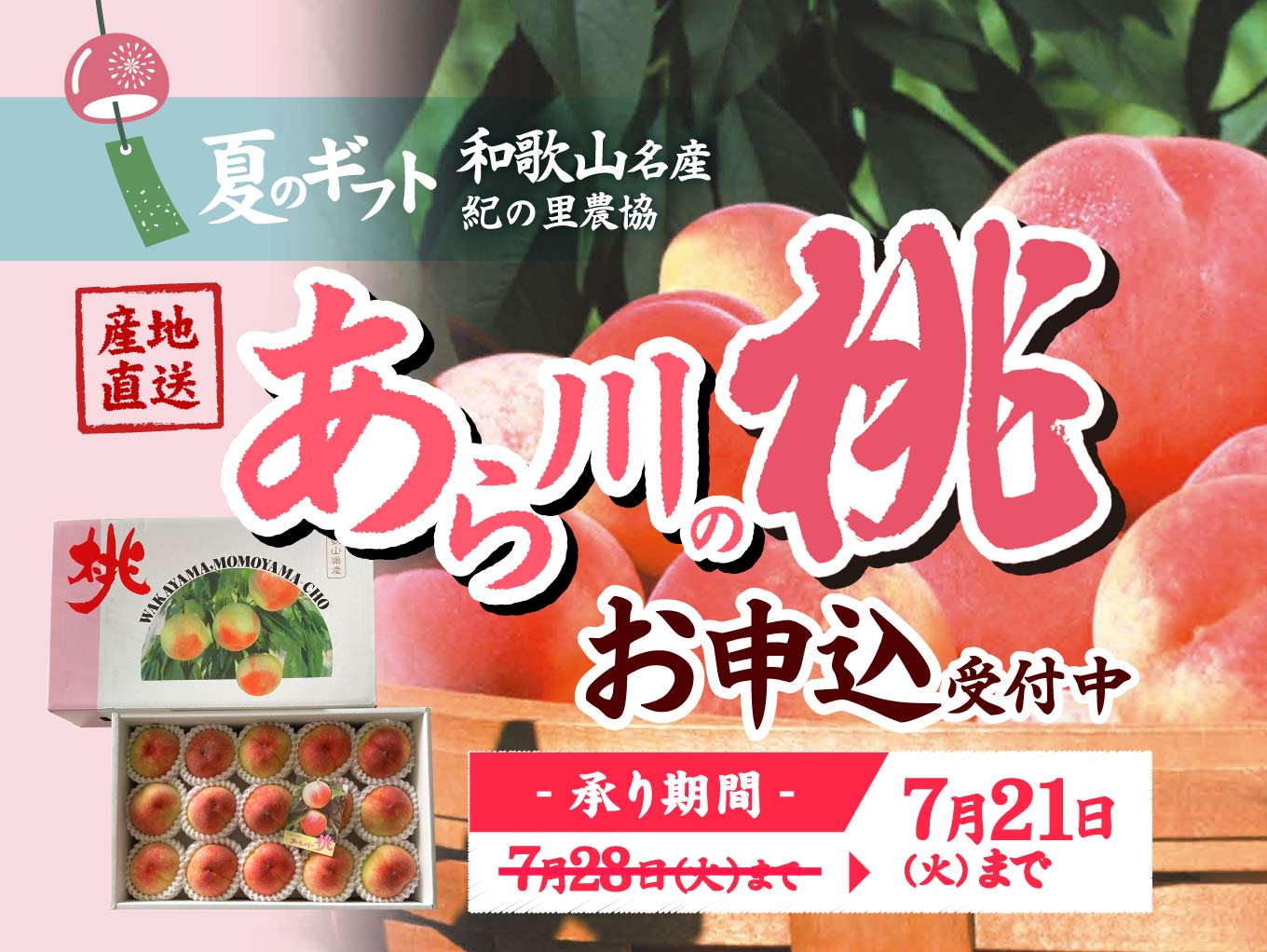 和歌山県より産地直送「あら川の桃ギフト」お申込受付中！