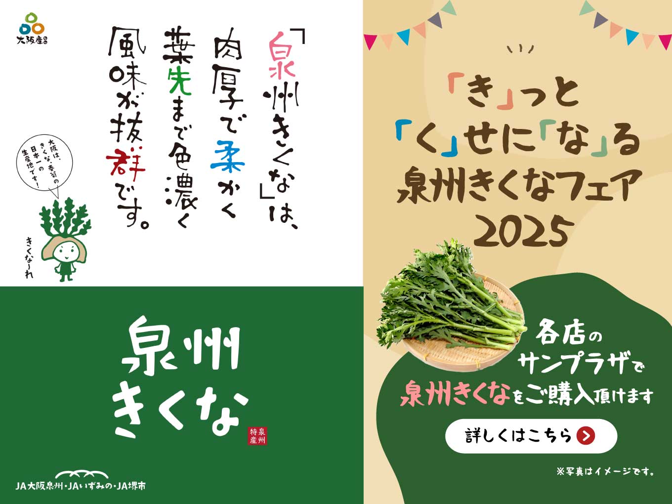 【泉州きくなフェア2025】泉州きくなのお求めはサンプラザで！
