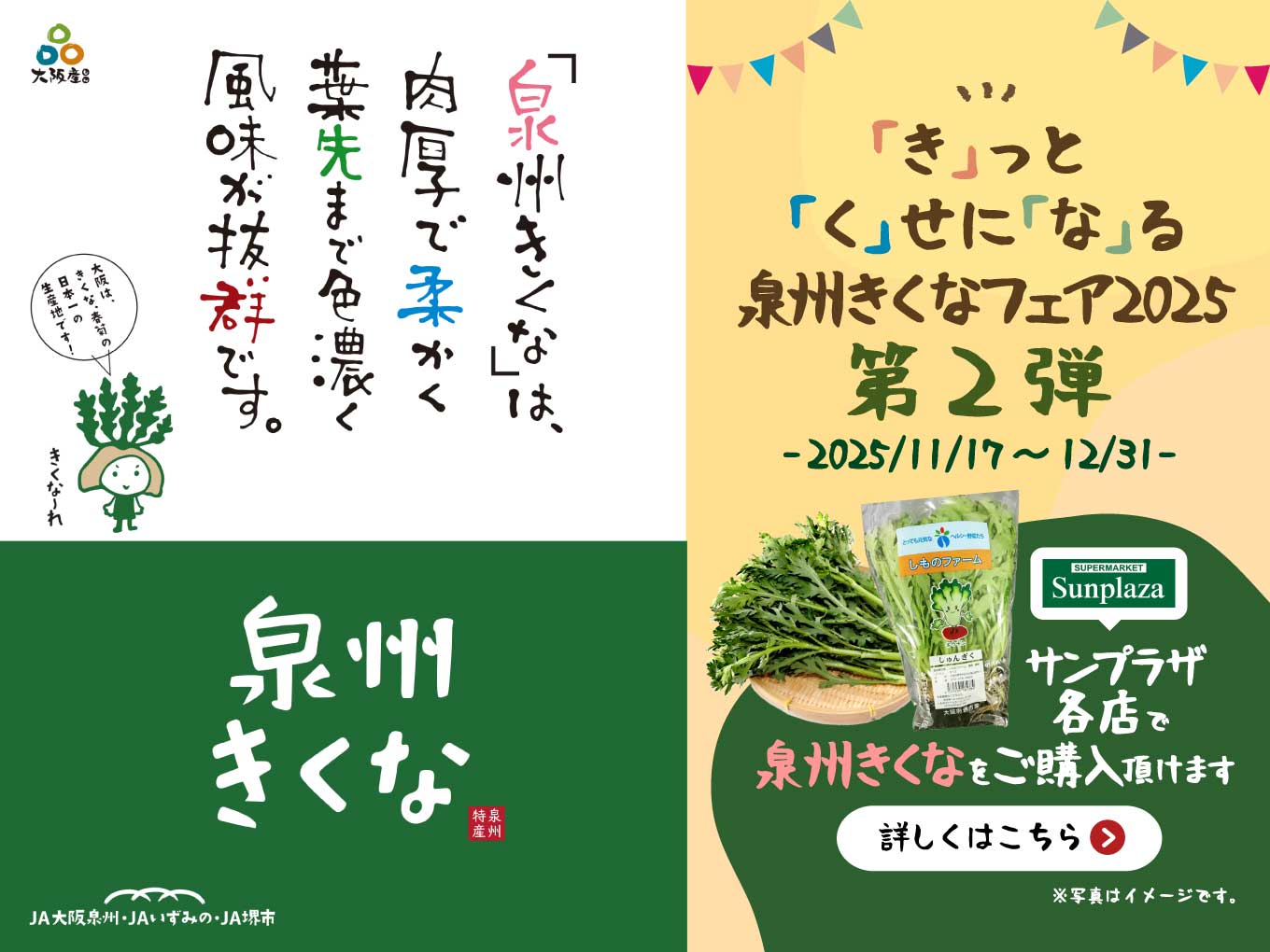「泉州きくなフェア2025【第2弾】」泉州きくなのお求めはサンプラザで！